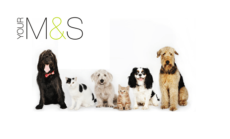 M&S Pet Insurance row of cute dogs and cats
