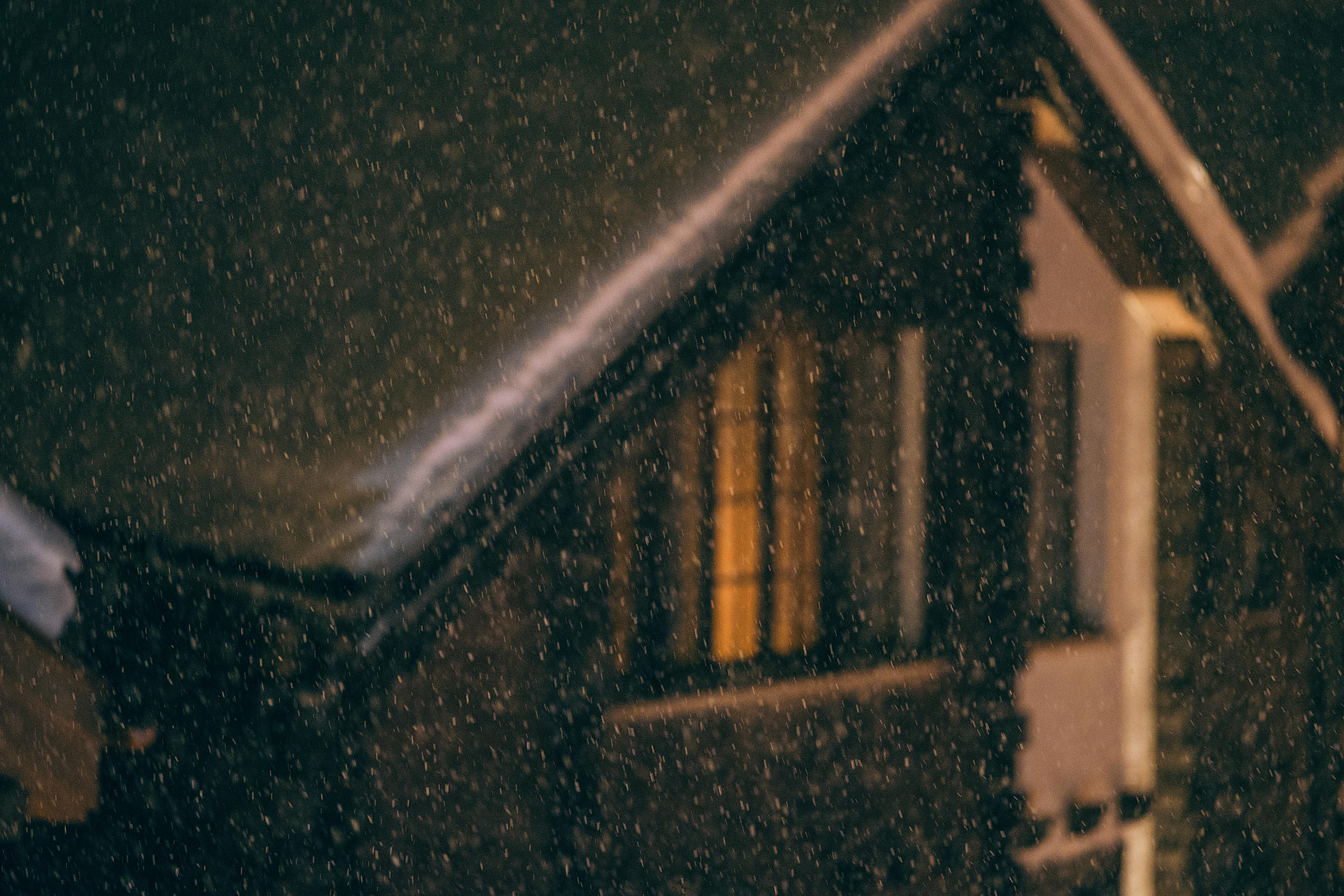 pexels-orlovamaria