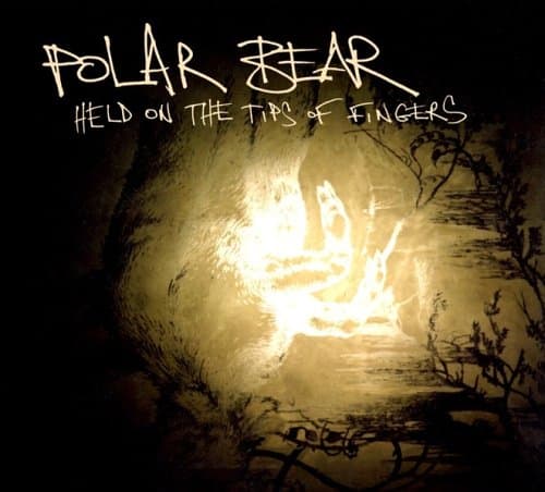 Polar Bear, Held On The Tips Of Fingers