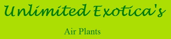 Unlimited Exotica's Air Plants - www.airplants.com.au