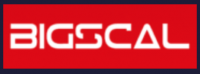 Bigscal Technologies Reviews - www.bigscal.com
