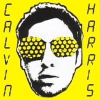 Calvin Harris, I Created Disco