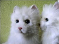 Hasbro Fur Real Cat