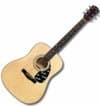 Fender DG5