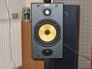 B&W DM601S2
