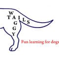 Waggy Tails Bearsden Scotland