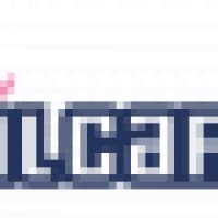 MoreRentalCars.com - www.morerentalcars.com