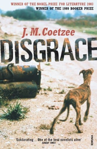 J.M. Coetzee, Disgrace