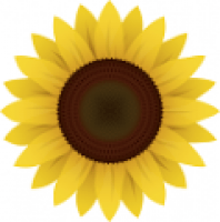 Sunflower Index - www.sunflower.capital