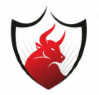Booming Bulls Academy - www.boomingbulls.com