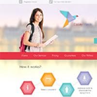 essayhave.com - essayhave.com