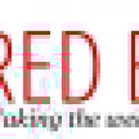 Red Bear Marketing - www.redbearmarketing.co.uk
