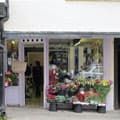 Lavender Blue, Ludlow
