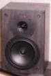 Gale Silver monitors