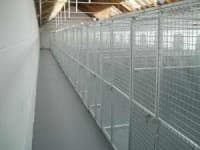 Lawersbridge Boarding and Day Kennels Mauchline