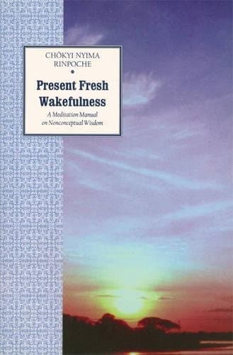 Chokyi Nyima Rinpoche, Present Fresh Wakefulness