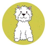 Catsash Boarding Kennels - www.catsashboardingkennels.co.uk