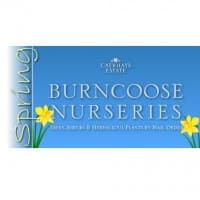 Burncoose Nurseries Online - www.burncoose.co.uk