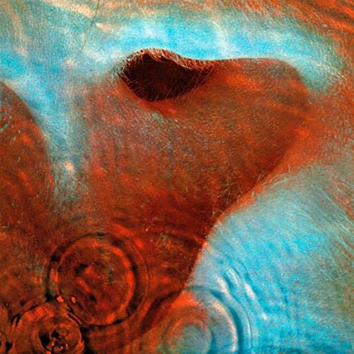 Pink Floyd, Meddle