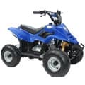 Thundercat 110cc Quad Bike