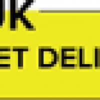 UK Pallet Delivery - www.ukpalletdelivery.co.uk