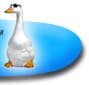 Cool Goose www.coolgoose.com
