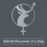 Silver Stag India - www.silverstagindia.com