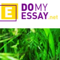 Domyessay.net - www.domyessay.net
