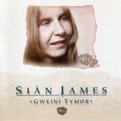 Sian James, Gweini Tymor