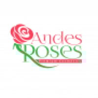 Andes Roses - andesroses.com