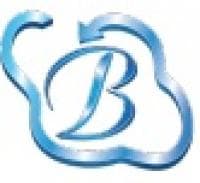 Bhavitra Technologies Pvt Ltd - www.bhavitra.com