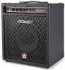 Peavey Minx 110
