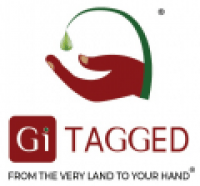 Gi TAGGED - www.gitagged.com