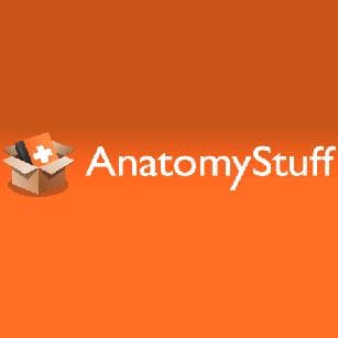 AnatomyStuff - www.anatomystuff.co.uk