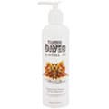 Famous Dave's Gradual 10 - Gradual Self Tanner and Tan Extender