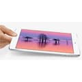 iPad Mini with Retina Display