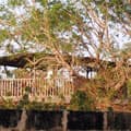 Alla La Daaroo Guest House