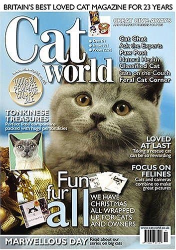 Cat World