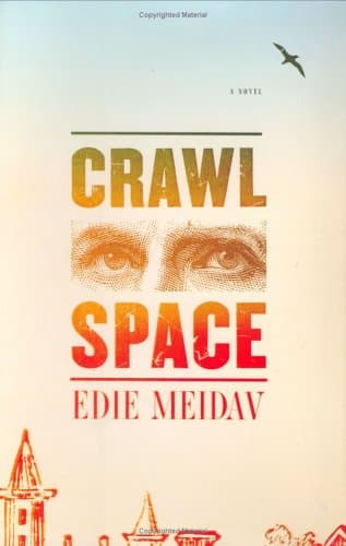 Edie Meidav, Crawl Space