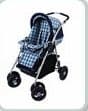 Cosatto Riga 2 in 1 Pushchair