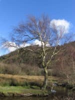 Douglas, Isle Of Man, Curraghs Wildlife Park