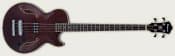 Ibanez AGB140 Semi-Ac Bass