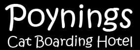 Poynings Cat Boarding Hotel