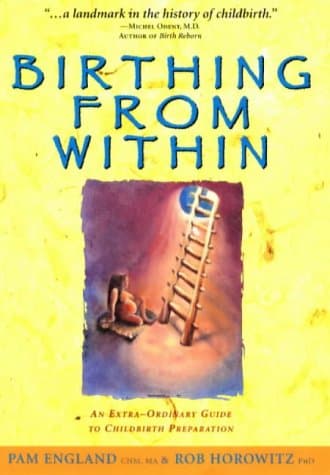 Pam England,Rob Horowitz, Birthing from Within: Extra-ordinary Guide to Childbirth Preparation