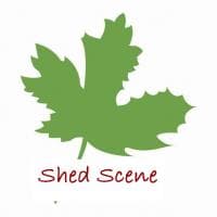 Shed Scene, Bristol Costswold
