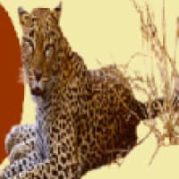 Africa Budget Tour - www.africabudgettour.com
