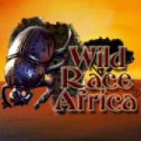 Wildrace Africa Tours and Travel - www.wildraceafrica.com