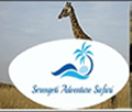 serengeti Adventure Safari - www.serengetiadventuresafari.com