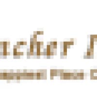 bhincher india tours - bhincherindiatours.com