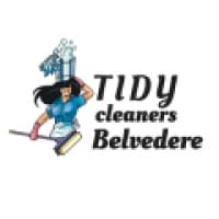 Tidy Cleaners Belvedere - cleanersbelvedereuk.co.uk